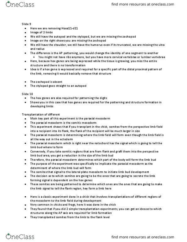 BIO380H5 Lecture Notes - Lecture 20: Paraxial Mesoderm, Limb Bud, Lateral Plate Mesoderm thumbnail