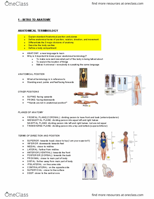 Health Sciences 2300A/B Lecture Notes - Lecture 1: Anatomical Terminology, Standard Anatomical Position, Anatomical Terms Of Motion thumbnail