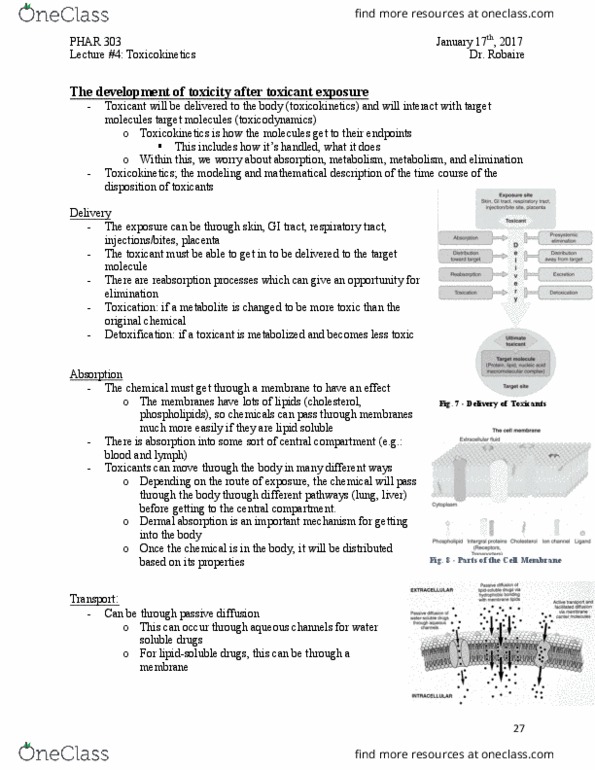 PHAR 303 Lecture Notes - Lecture 4: Toxicokinetics, Hepatotoxicity, Stratum Corneum thumbnail
