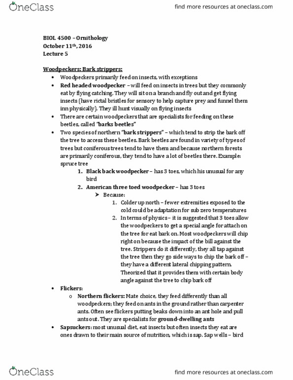 BIOL 4500 Lecture Notes - Lecture 5: Ninox, Niche Differentiation, Peripheral Vision thumbnail