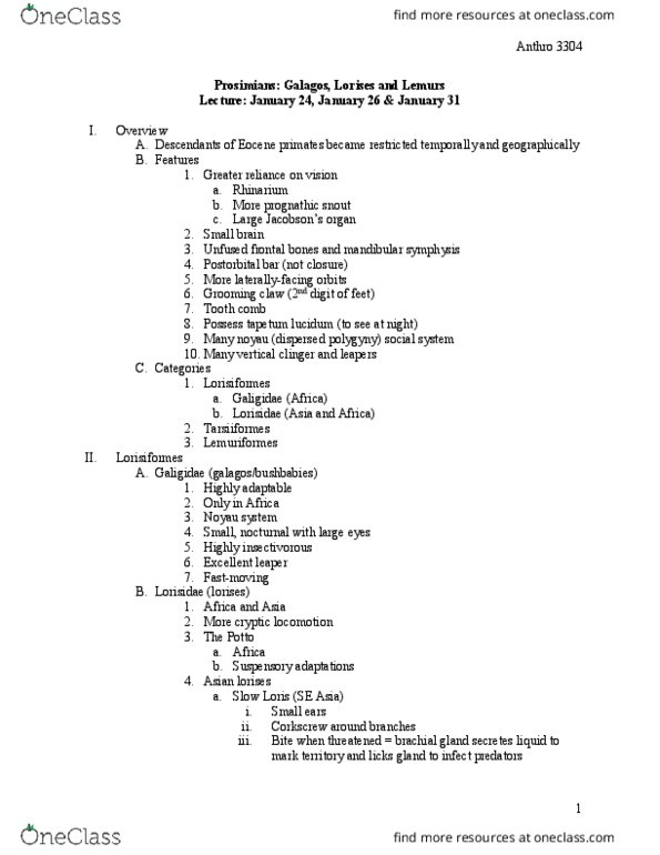 ANTHROP 3304 Lecture Notes - Lecture 4: Tapetum Lucidum, Mandibular Symphysis, Lorisidae thumbnail