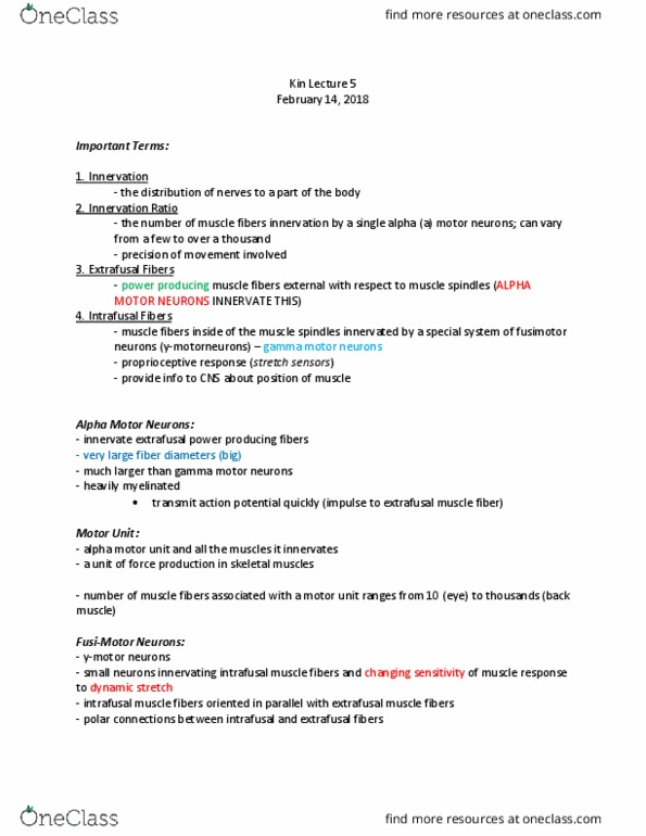 Kinesiology 1080A/B Lecture Notes - Lecture 5: Extrafusal Muscle Fiber, Alpha Motor Neuron, Gamma Motor Neuron thumbnail