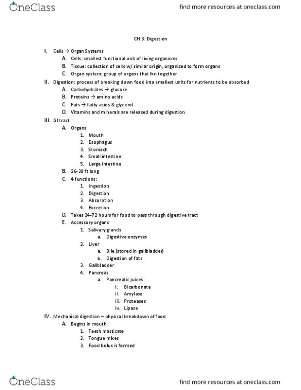NTDT200 Lecture Notes - Lecture 4: Salivary Gland, Large Intestine, Mastication thumbnail