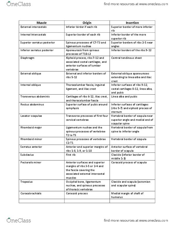 BIOB33H3 Chapter Notes -Nuchal Ligament, Thoracolumbar Fascia, Iliac Crest thumbnail