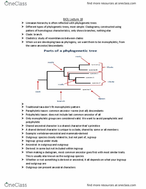 BIOL 1001 Lecture Notes - Lecture 18: Linnaean Taxonomy, Polyphyly, Paraphyly thumbnail