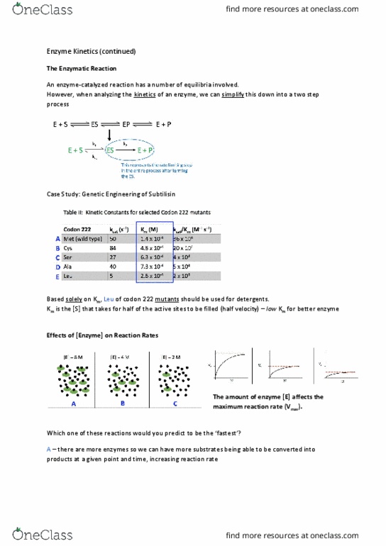BIOL 201 Lecture Notes - Lecture 19: Subtilisin, Reaction Rate, Enzyme thumbnail