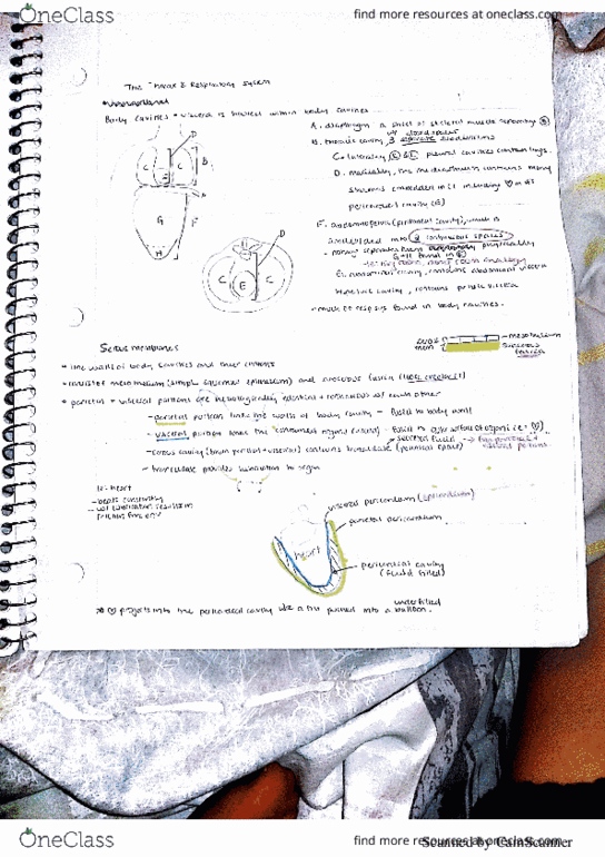 ANA300Y1 Lecture 36: ana300 lec36 thumbnail