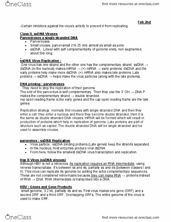 BIOL 3155 Lecture Notes - Lecture 9: Open Reading Frame, Dna Virus, Parvovirus thumbnail