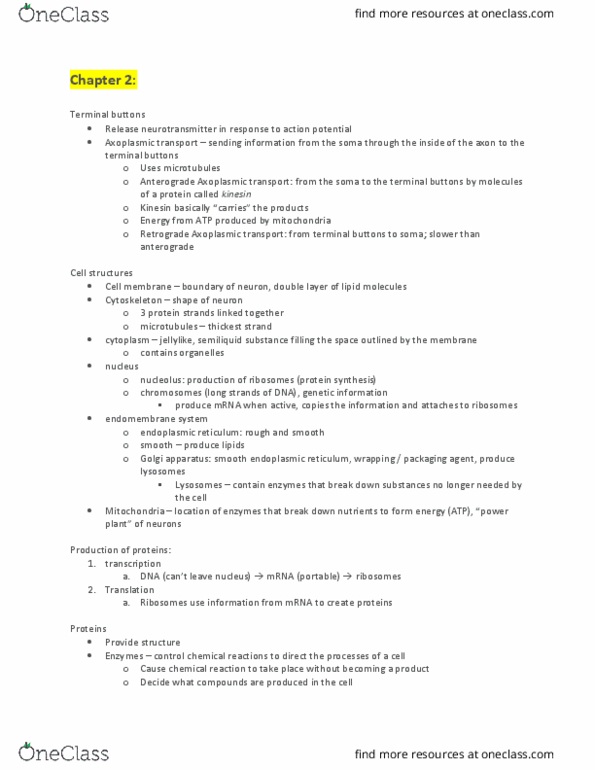 PSYC314 Chapter Notes - Chapter 2-3: Axoplasmic Transport, Endoplasmic Reticulum, Axon Terminal thumbnail