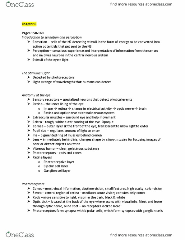 PSYC314 Chapter Notes - Chapter 6: Vitreous Body, Extraocular Muscles, Optic Nerve thumbnail