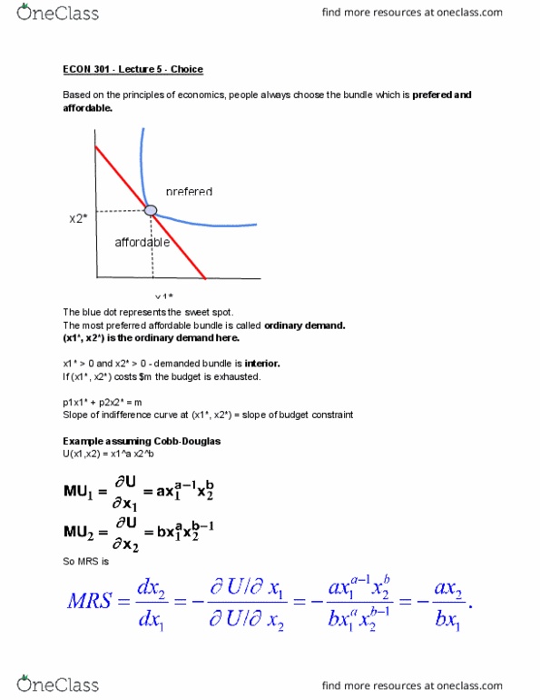 ECON 301 Lecture Notes - Lecture 5: Budget Constraint, Indifference Curve thumbnail