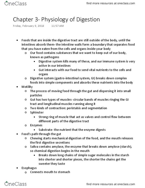 NUTR SCI 132 Chapter Notes - Chapter 3: Digestion, Peristalsis, Gastrointestinal Tract thumbnail