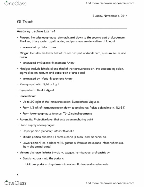 ZOO 3733C Lecture Notes - Lecture 4: Inferior Mesenteric Artery, Superior Mesenteric Artery, Celiac Artery thumbnail