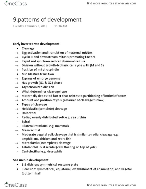 BIOL 303 Lecture Notes - Lecture 9: Cleavage Furrow, Sea Urchin, Spindle Apparatus thumbnail