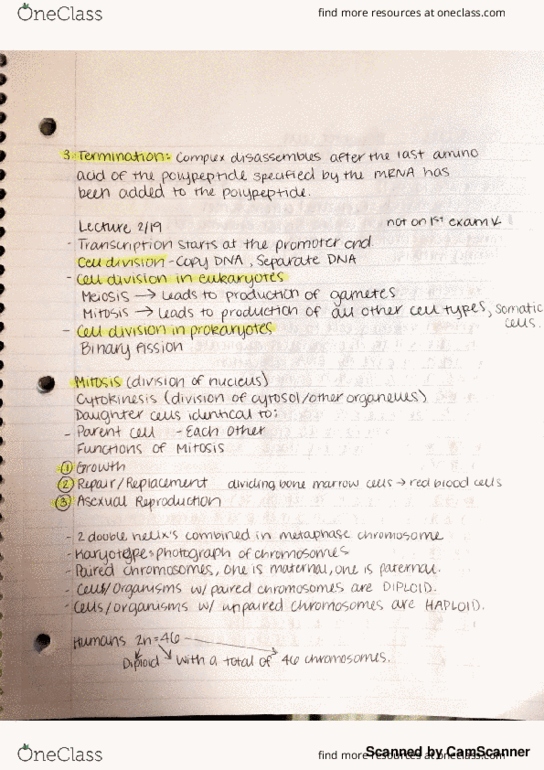 BIOLOGY 101 Lecture Notes - Lecture 12: Inq Mobile thumbnail