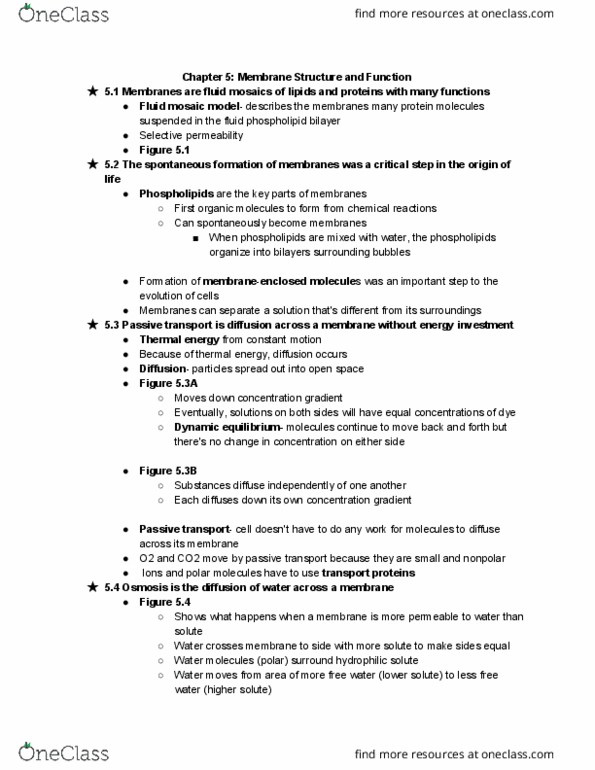 BIOL 1012 Chapter Notes - Chapter 5: Fluid Mosaic Model, Lipid Bilayer, Thermal Energy thumbnail