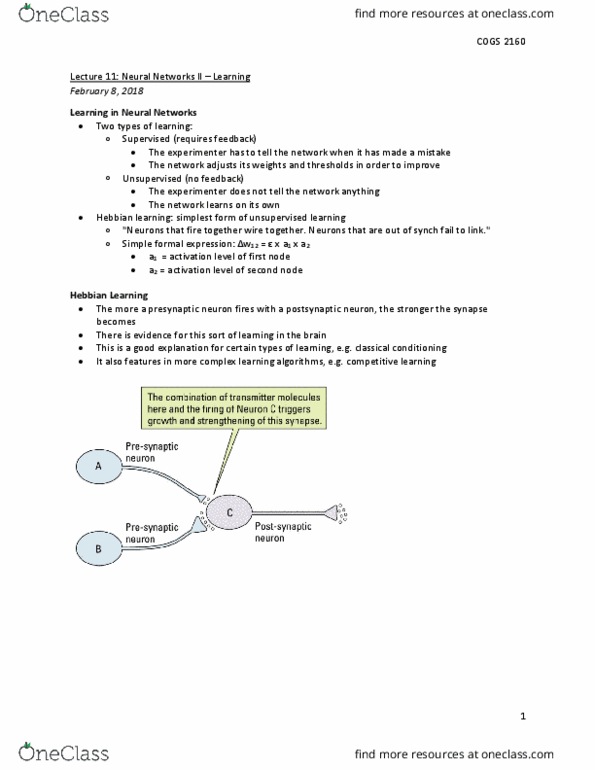 COGS 2160 Lecture Notes - Lecture 11: Artificial Neural Network, Hebbian Theory, Unsupervised Learning thumbnail