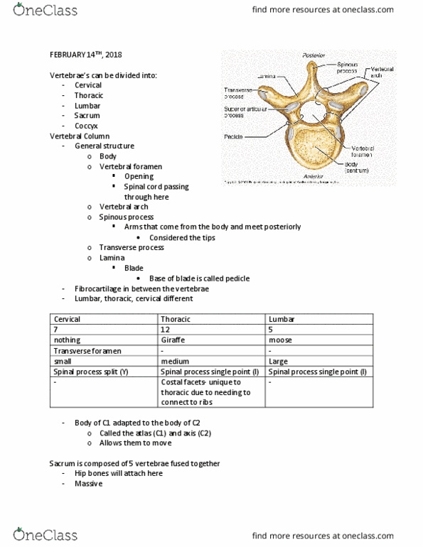 document preview image