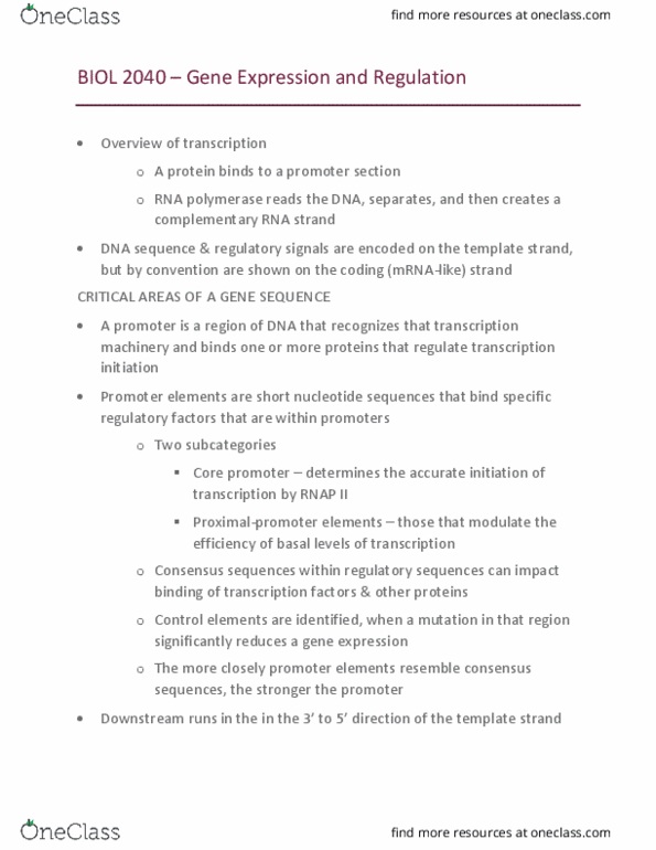 BIOL 2040 Lecture Notes - Lecture 3: Rna Polymerase Ii, Transfer Rna, Rna Editing thumbnail