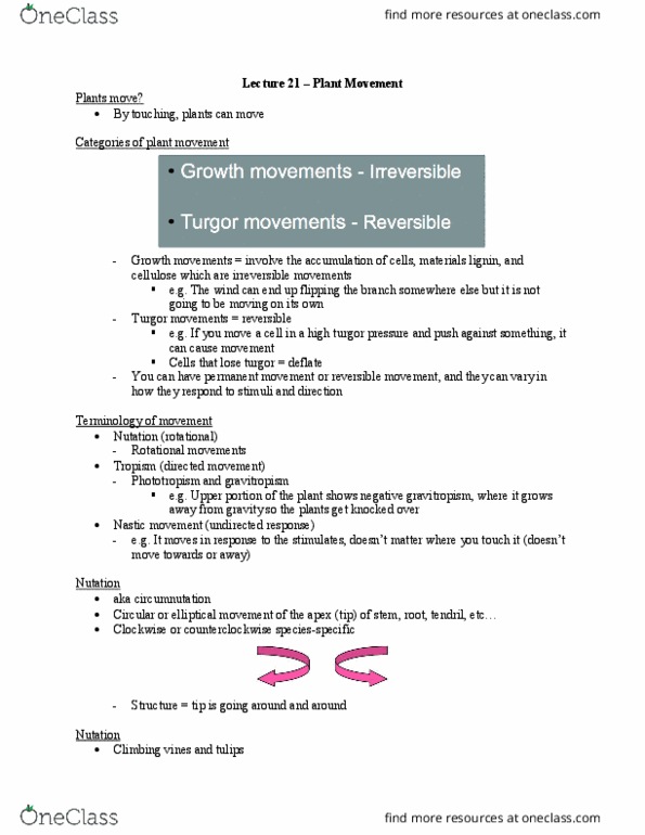 Biology 2601A/B Lecture Notes - Lecture 21: Nastic Movements, Nutation, Gravitropism thumbnail