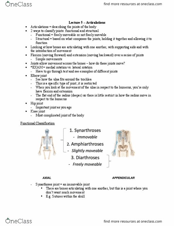 Health Sciences 2300A/B Lecture Notes - Lecture 5: Hip, Ulna, Humerus thumbnail