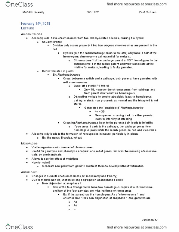 BIOL 202 Lecture Notes - Lecture 16: Nondisjunction, Brassicoraphanus, Homologous Chromosome thumbnail