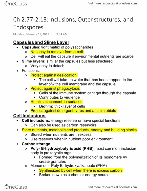 MICR-3050 Chapter Notes - Chapter 2: Inclusion Bodies, Endospore, Biofilm thumbnail