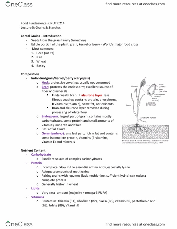 NUTR 214 Lecture Notes - Lecture 5: Aleurone, Cereal Germ, Poaceae thumbnail