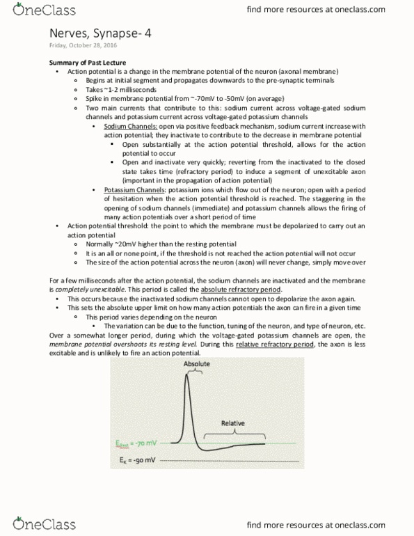 PHGY 209 Lecture Notes - Lecture 18: Resting Potential, Action Potential, Multiple Sclerosis thumbnail