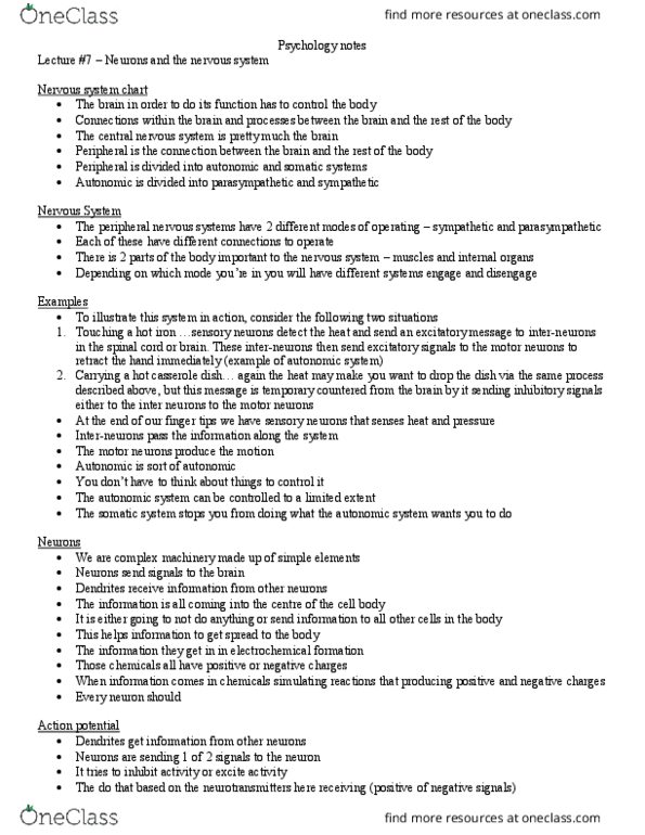 PSYA01H3 Lecture Notes - Lecture 7: Visual Cortex, Auditory Cortex, Occipital Lobe thumbnail