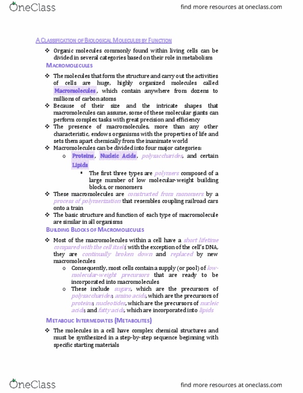 BIO130H1 Chapter Notes - Chapter 2: Macromolecule, Cell Nucleus, Cyclic Adenosine Monophosphate thumbnail