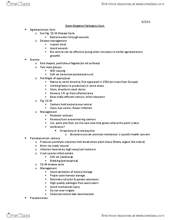 PBIO 117 Lecture Notes - Wood-Decay Fungus, Agrobacterium, Erwinia thumbnail