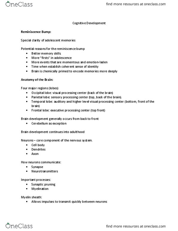 HDF 371 Lecture Notes - Lecture 11: Visual Perception, Myelin, Synaptic Pruning thumbnail