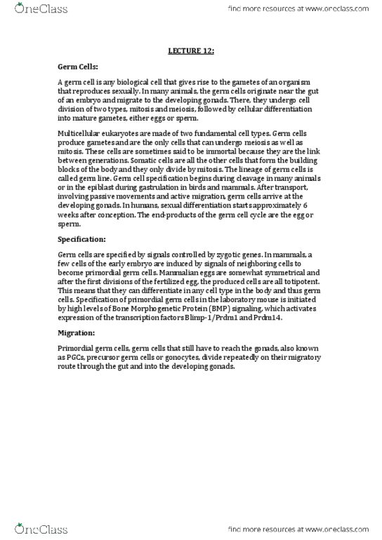 DEV2011 Lecture Notes - Lecture 12: Seminiferous Tubule, Spermatocyte, Male Reproductive System thumbnail