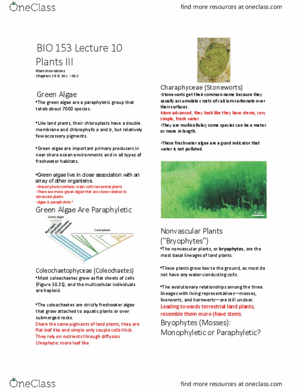 BIO153H5 Lecture Notes - Lecture 10: Non-Vascular Plant, Charales, Accessory Pigment thumbnail