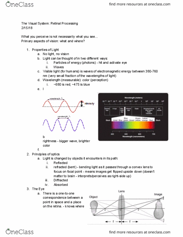 BCS 110 Lecture Notes - Lecture 8: Color Vision, Photon, Retina thumbnail