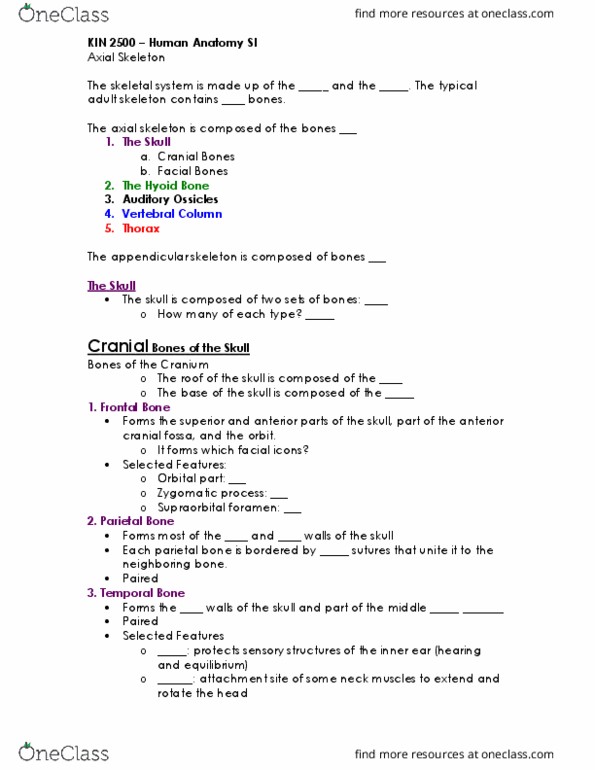 KIN 2500 Lecture Notes - Lecture 16: Anterior Cranial Fossa, Supraorbital Foramen, Axial Skeleton thumbnail