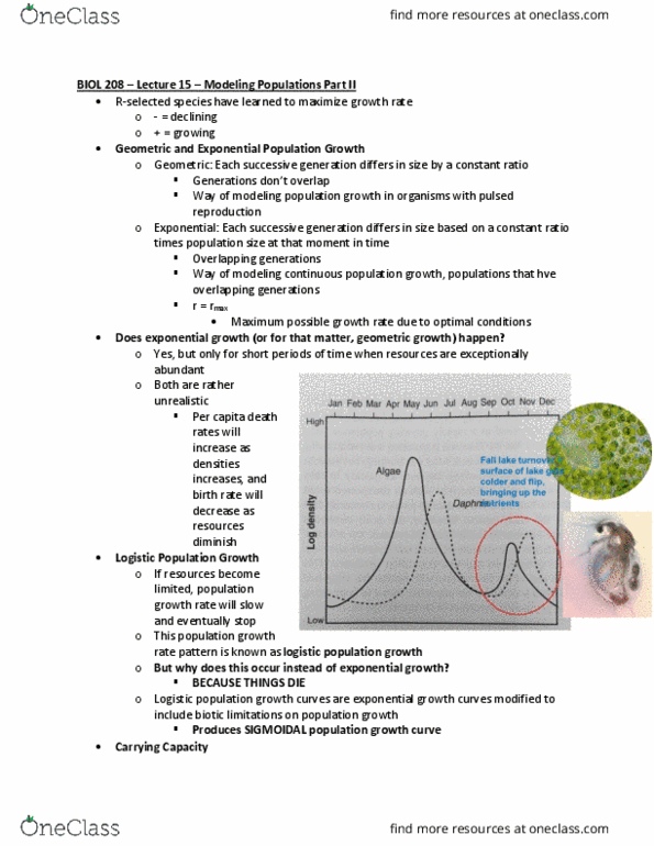 BIOL208 Lecture Notes - Lecture 15: Exponential Growth thumbnail