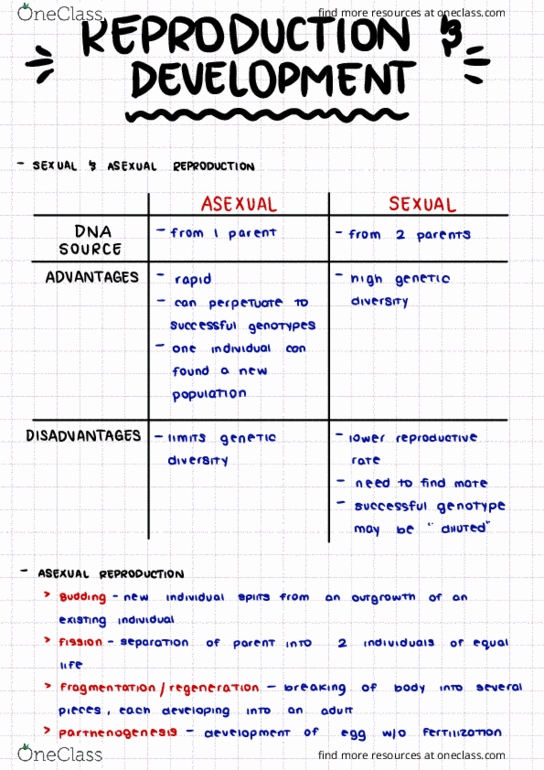 BIOL 1116 Lecture Notes - Lecture 14: Female Sperm Storage, Erectile Tissue, Oviduct thumbnail