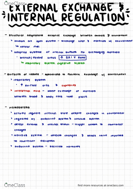 BIOL 1116 Lecture Notes - Lecture 11: Extracellular Fluid, Endocrine System, Homeostasis thumbnail