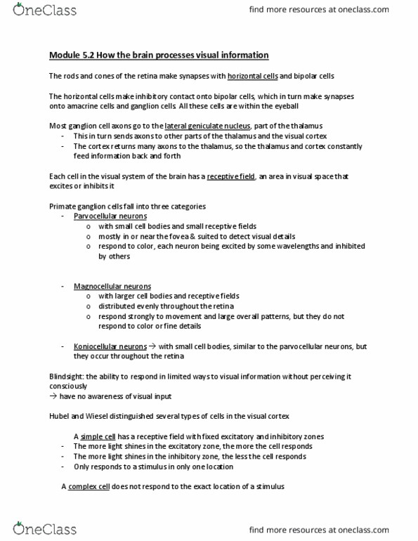 PSYCH261 Chapter Notes - Chapter 5: Lateral Geniculate Nucleus, Amacrine Cell, Receptive Field thumbnail