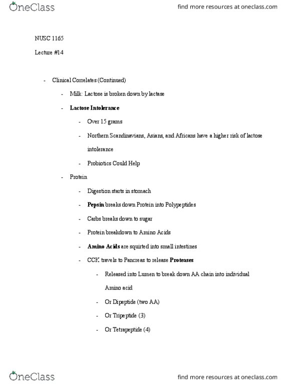 NUSC 1165 Lecture Notes - Lecture 14: Lactose Intolerance, Tetrapeptide, Tripeptide thumbnail