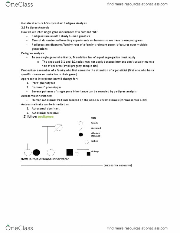 BLG 400 Lecture Notes - Lecture 4: Proband, Zygosity, Y Chromosome thumbnail