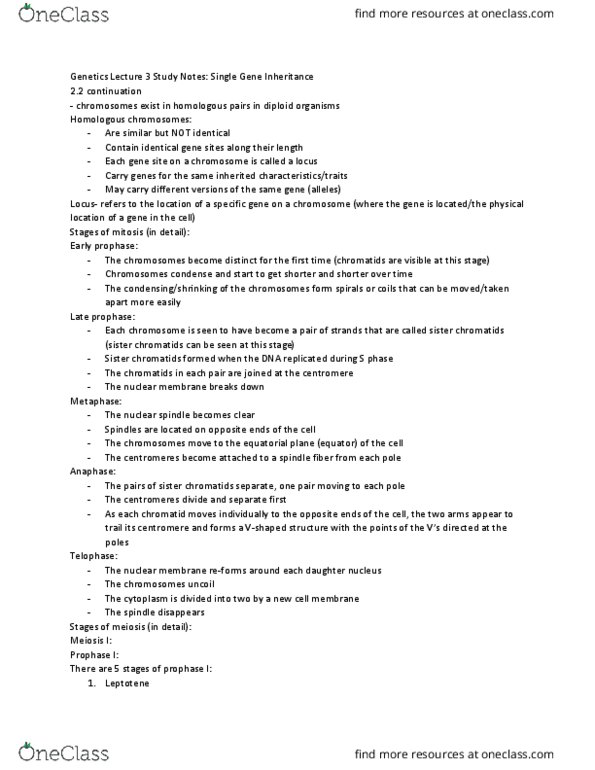 BLG 400 Lecture Notes - Lecture 3: Sister Chromatids, Homologous Chromosome, Decay Product thumbnail