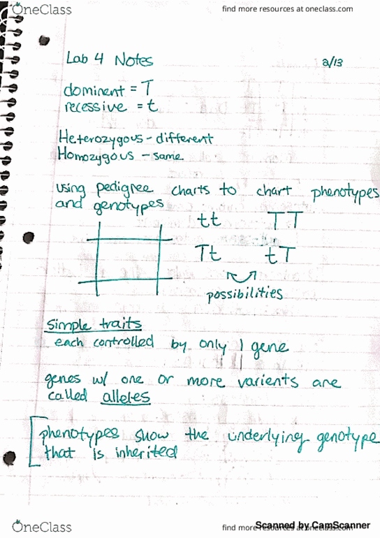 ANTH 2040 Lecture 4: Lab 4 Notes thumbnail