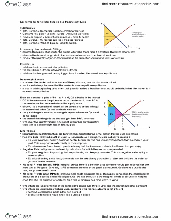ECON 1B03 Lecture Notes - Lecture 5: Deadweight Loss, Pink Triangle, Competitive Equilibrium thumbnail