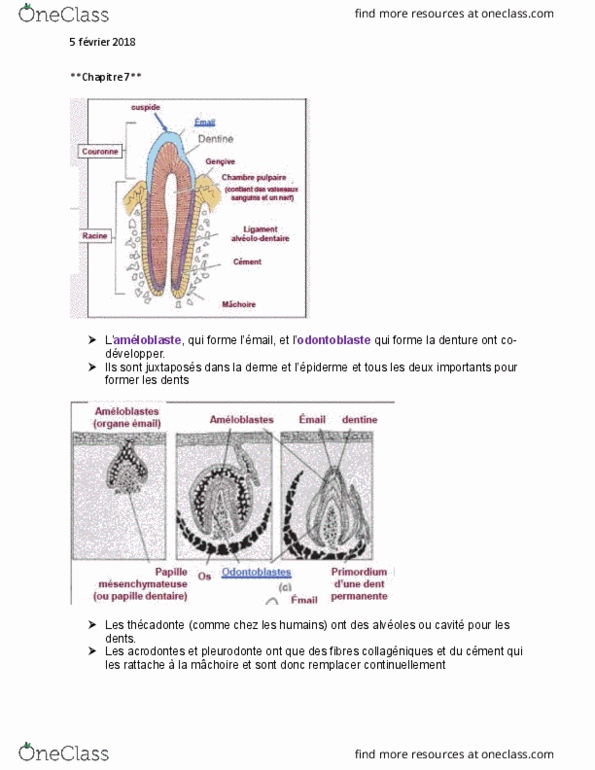 document preview image