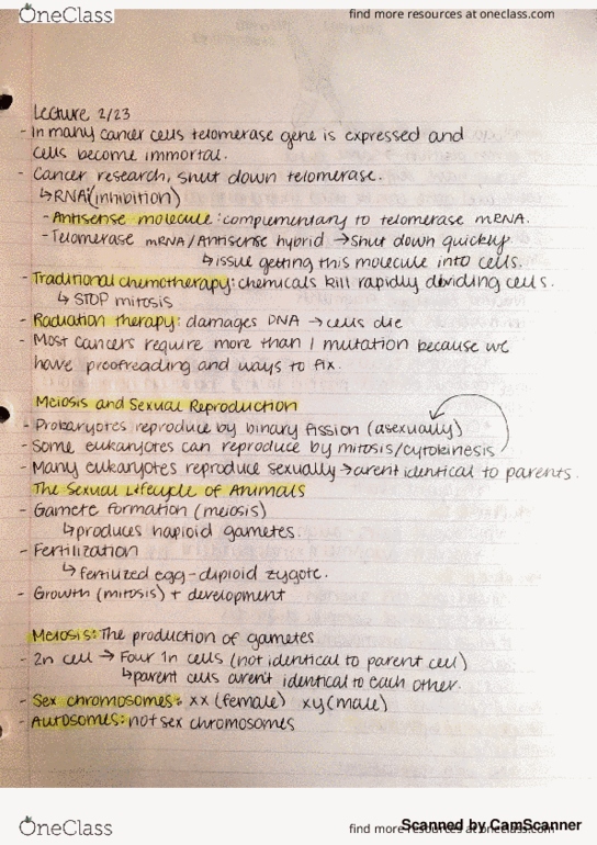 BIOLOGY 101 Lecture Notes - Lecture 14: National Order Of Quebec thumbnail