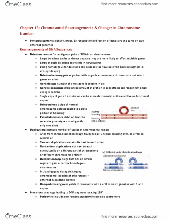 CAS BI 206 Chapter Notes - Chapter 13: Homologous Chromosome, Gene Dosage, Centromere thumbnail