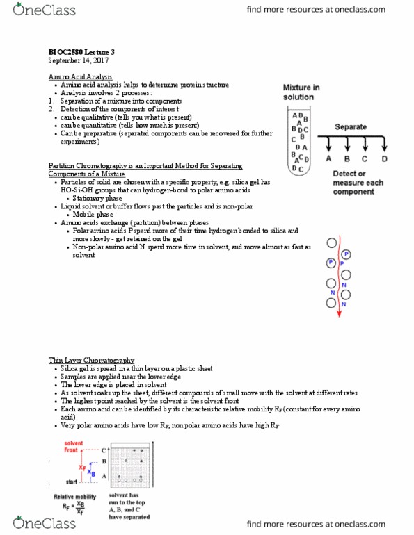 BIOC 2580 Lecture Notes - Lecture 3: Silica Gel, Protein Structure, Ninhydrin thumbnail